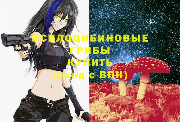 эйфоретик Пересвет