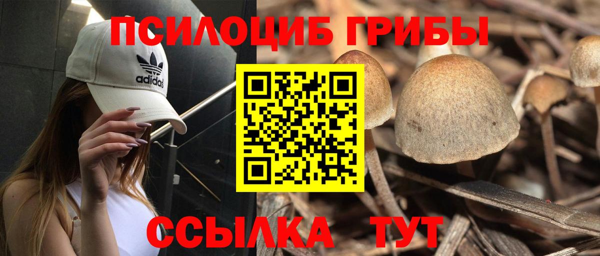 Галлюциногенные грибы ЛСД Баксан